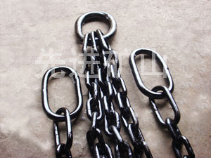 鿴ϸϢ⣺30 tons of high strength chain rigging Ķ2046
